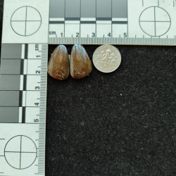 Gem Bone Pair 10847