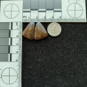 Gem Bone Pair 10848