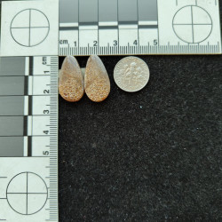 Gem Bone Pair 10852