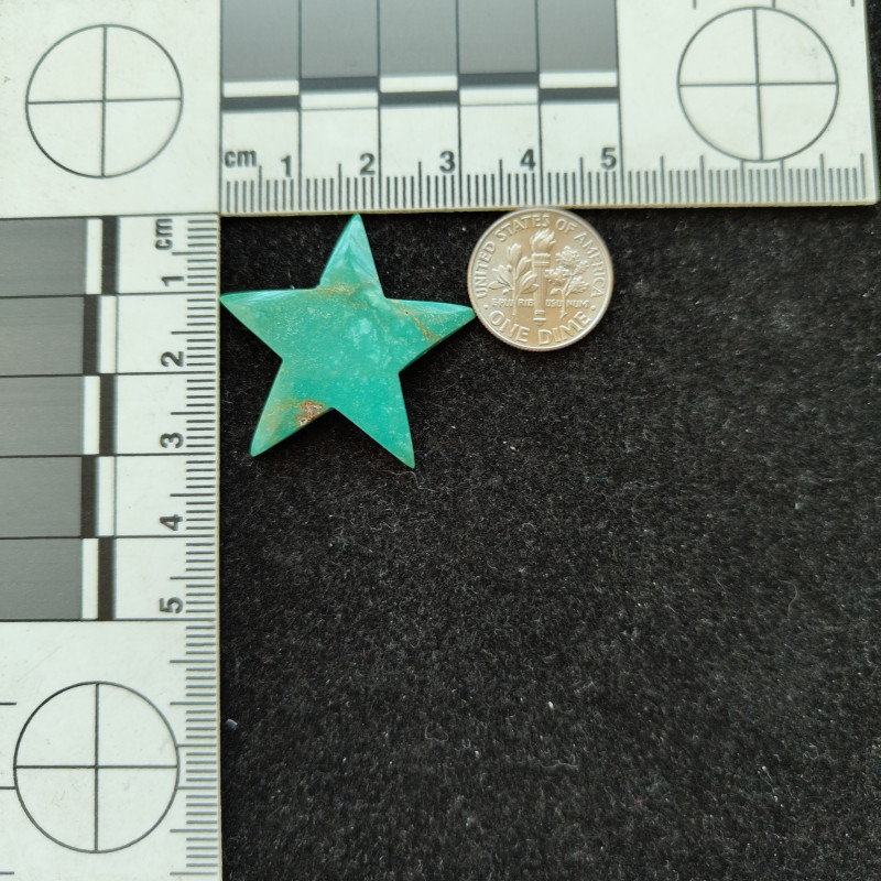 Campitos Turquoise Star 11119