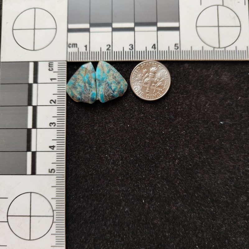 Kingman Turquoise Pair 11205