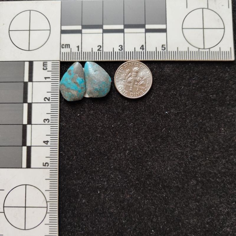 Kingman Turquoise Pair 11212