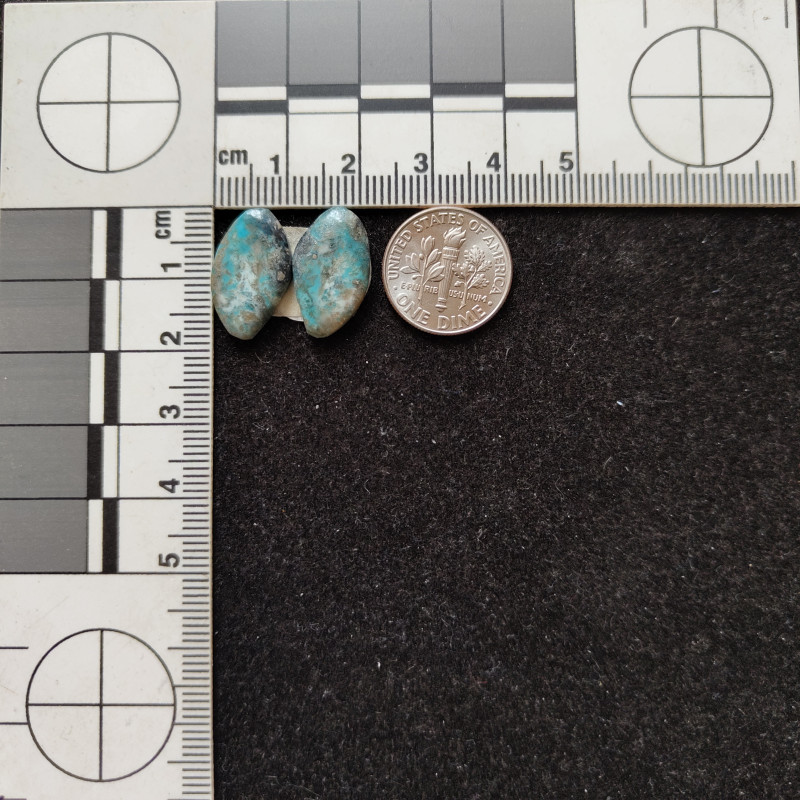 Kingman Turquoise Pair 11215