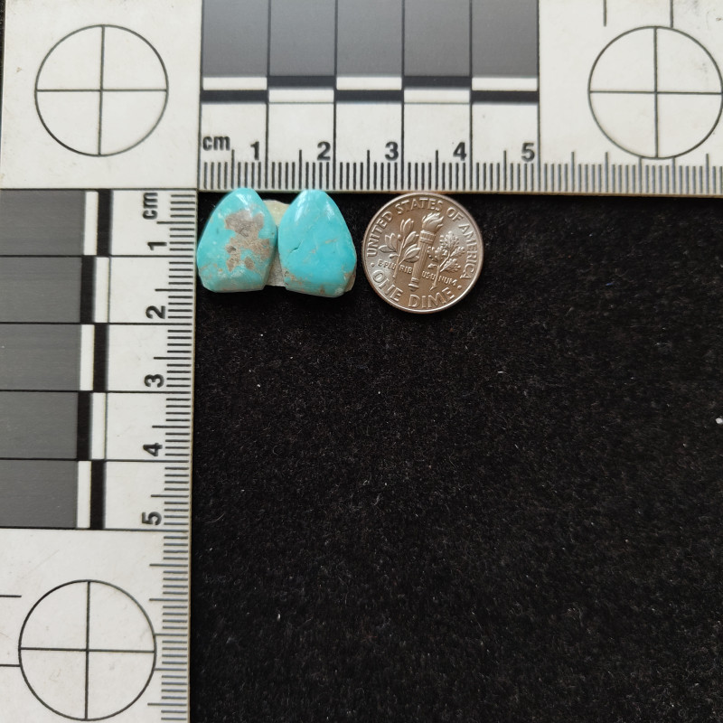 Kingman Turquoise Pair 11241