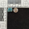 Kingman Turquoise Pair 11246