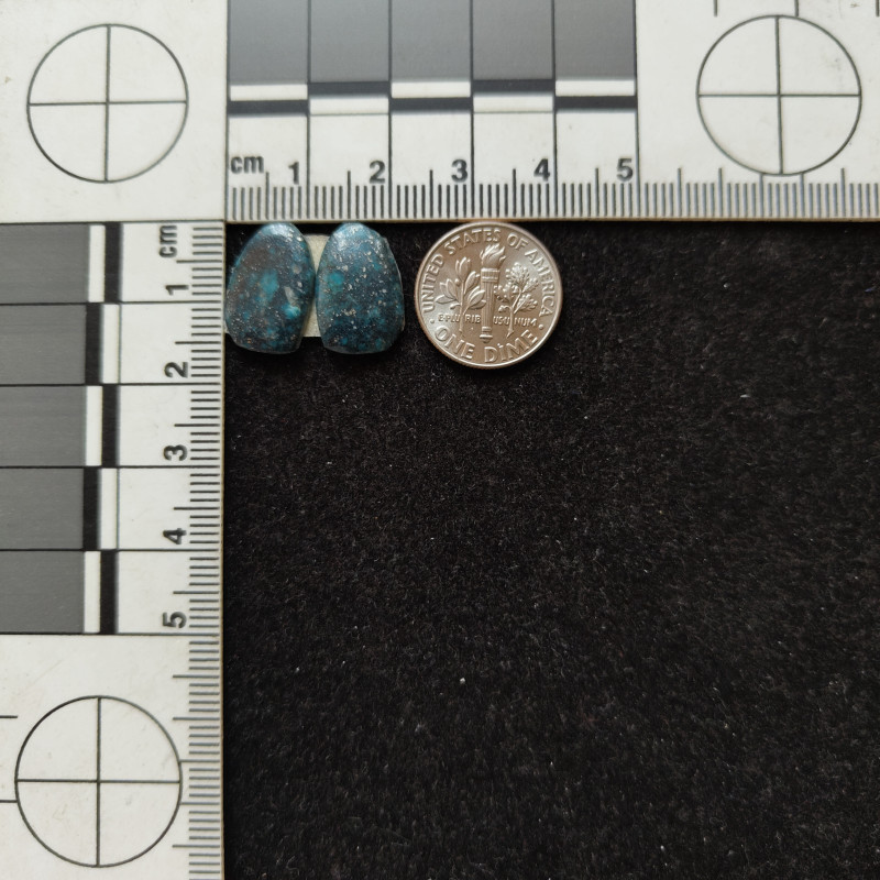 Kingman Turquoise Pair 11265