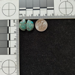 Kingman Turquoise Pair 11277