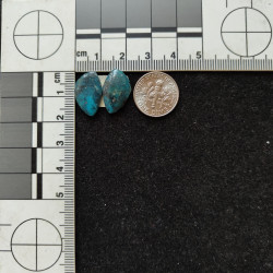 Kingman Turquoise Pair 11286