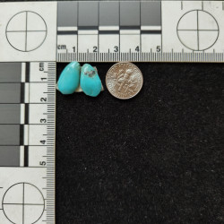 Kingman Turquoise Pair 11288