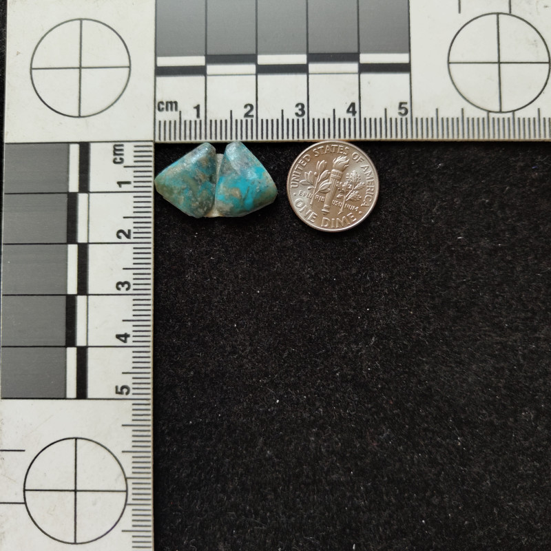 Kingman Turquoise Pair 11306