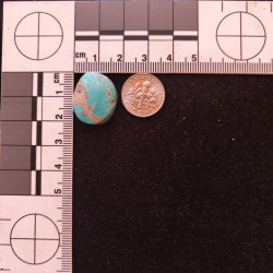 Kingman Turquoise 11683