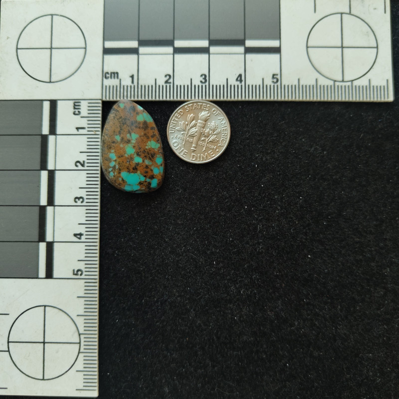 Kingman Turquoise 11723