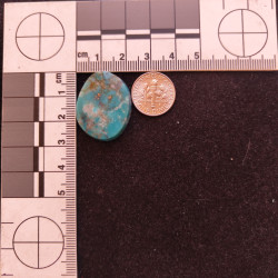 Kingman Turquoise 11797