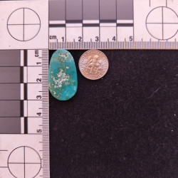 Kingman Turquoise 11822