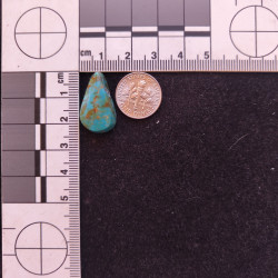 Kingman Turquoise 11836