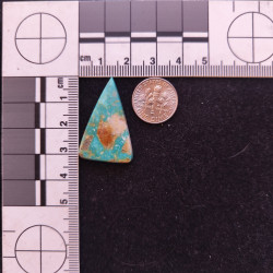 Kingman Turquoise 11847