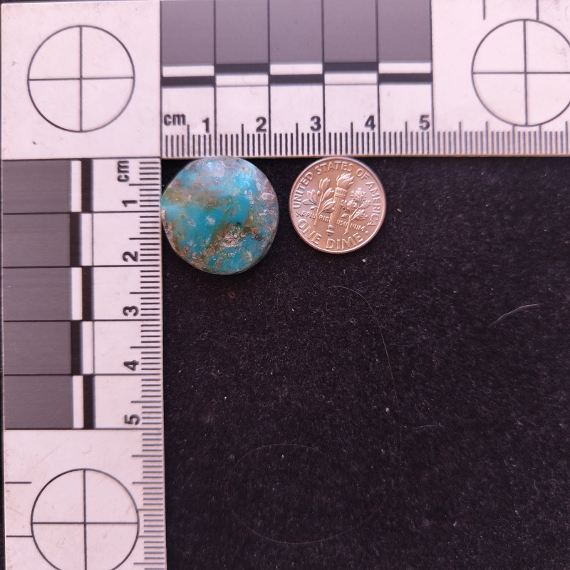 Kingman Turquoise 11855