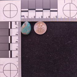 Kingman Turquoise 11858