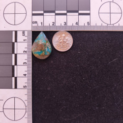 Kingman Turquoise 11861