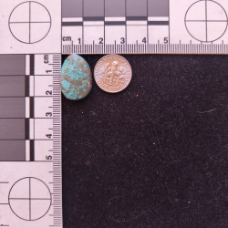 Kingman Turquoise 11866