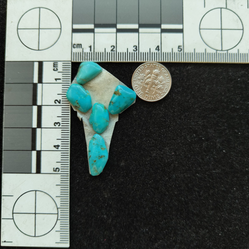 Turquoise Cactus 12210