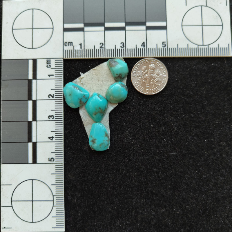 Turquoise Cactus 12244