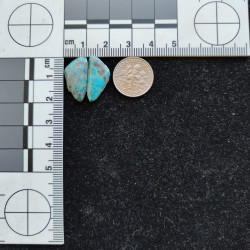 Kingman Turquoise Pair 12629