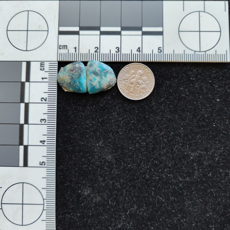 Kingman Turquoise Pair 12630