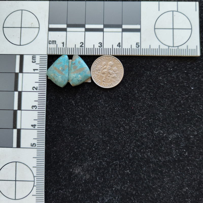 Kingman Turquoise Pair 12641