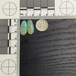 Kingman Turquoise Pair 13247