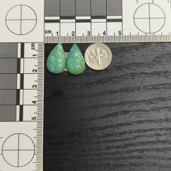 Kingman Turquoise Pair 13248