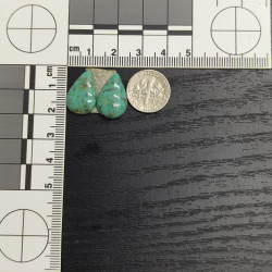 Kingman Turquoise Pair 13252