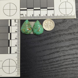 Kingman Turquoise Pair 13338