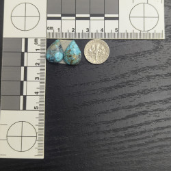 Kingman Turquoise Pair 13399