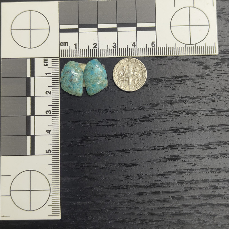 Kingman Turquoise Pair 13411