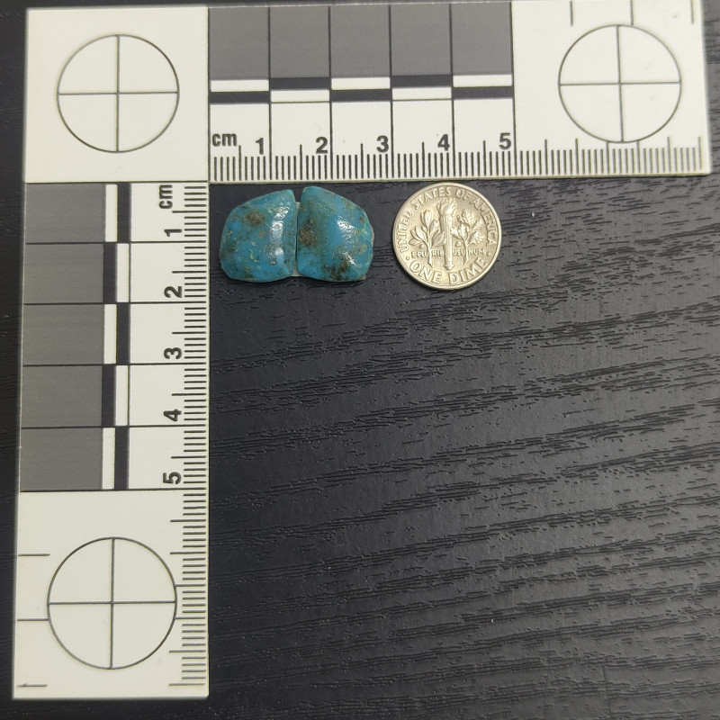 Kingman Turquoise Pair 13461