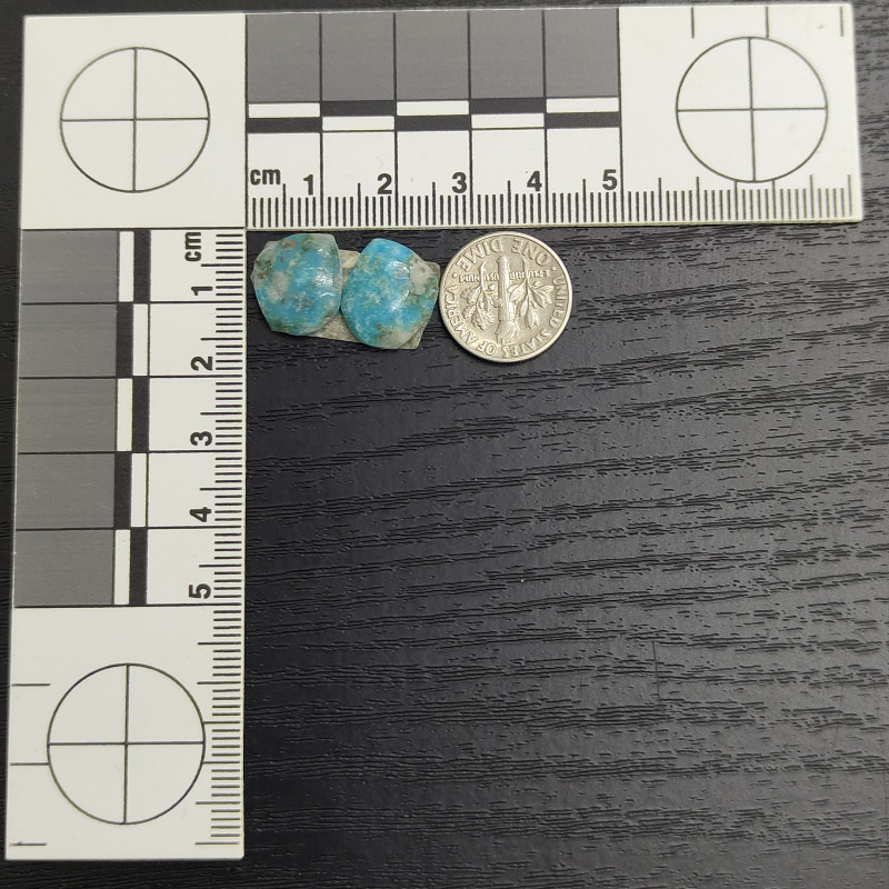 Kingman Turquoise Pair 13488