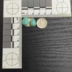 Kingman Turquoise Pair 13515