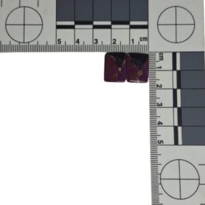 Mojave Turquoise Pair