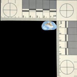 Golden Hills Turquoise