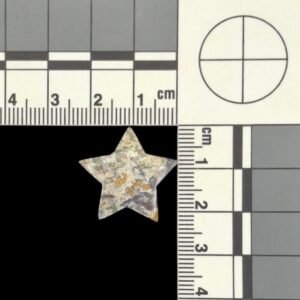 Eliza Turquoise Pair