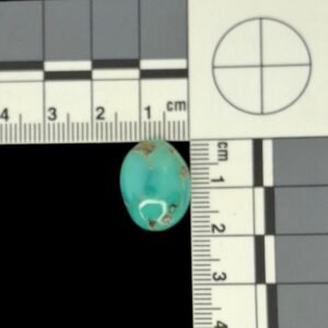 Kingman Turquoise