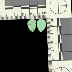 Eliza Turquoise Pair