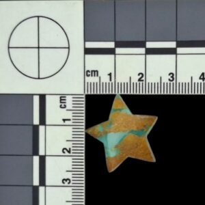 Royston Turquoise Pair