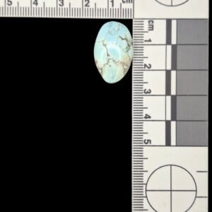 Golden Hills Turquoise