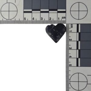 Black Buffalo Heart Cab