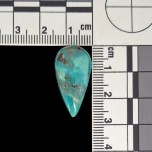Kingman Turquoise