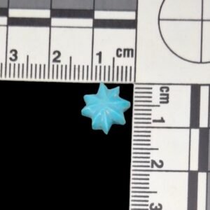 Campitos Turquoise Star