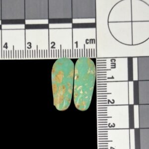 Tyrone Turquoise Pair