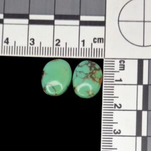 Tyrone Turquoise Pair